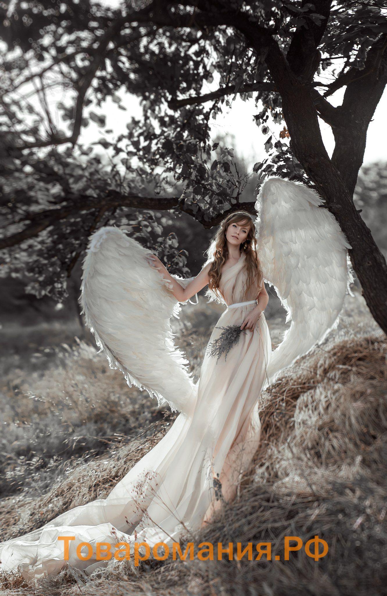Красивые фото ангелов (60 фото) - Товаромания.РФ